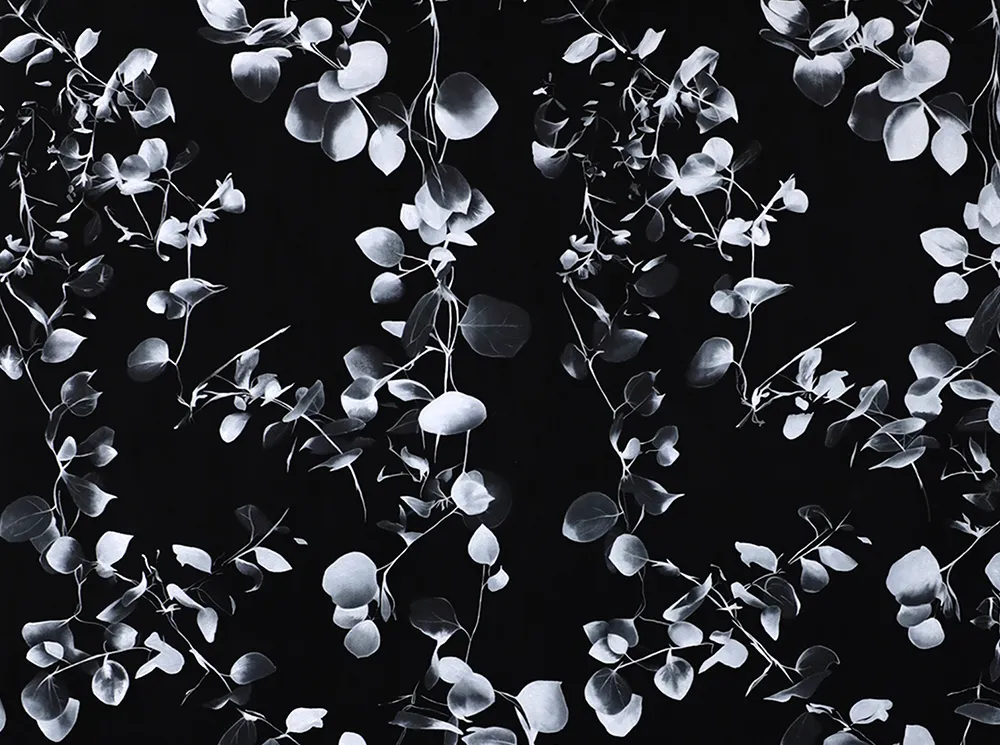 백색고온 White Hot